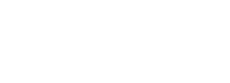 Лого новосибирь